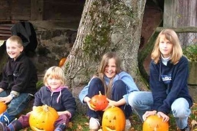 K�rbisse aush�hlen