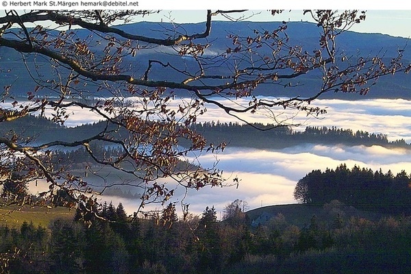 Herbststimmung in St. Mrgen