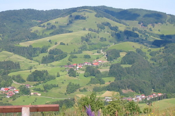 Ruhebank mit Blick auf Frhnd