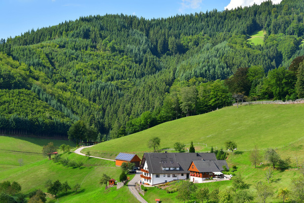 'Ferienhaus - Ferienwohnungen Mllerbauernhof'