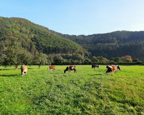 Hof hinter der Mhle (Gutach/ Schwarzwaldbahn)