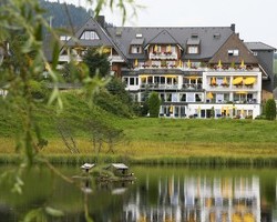 Ferien- und Wellnesshotel Reppert (Hinterzarten)