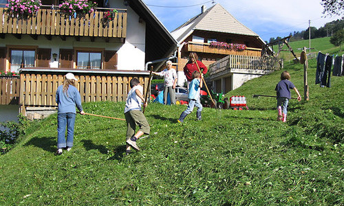 Harzlochhof Mnstertal (Mnstertal)