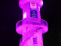 Brendturm - Copyright: Stadt Furtwangen