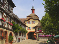 (Bildnachweis: Touristik-Information Vogtsburg i.K. Fotograf: Hans-Peter Ziesmer) (Bildnachweis: Touristik-Information Vogtsburg i.K. Fotograf: Hans-Peter Ziesmer)