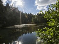Mit freundlicher Genehmigung der Stadt Lossburg (Bildnachweis: Mit freundlicher Genehmigung der Stadt Lossburg) Mit freundlicher Genehmigung der Stadt Lossburg (Bildnachweis: Mit freundlicher Genehmigung der Stadt Lossburg)