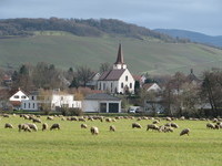 Schallstadt (Bildnachweis: B�rgermeisteramt Schallstadt)