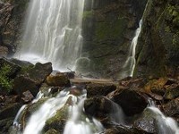 (Bildnachweis: Mit freundlicher Genehmigung von www.wolftal.de) (Bildnachweis: Mit freundlicher Genehmigung von www.wolftal.de)
