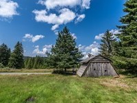  (Bildnachweis: Mit freundlicher Genehmigung Tourist Information Bernau)