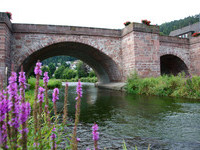 Stadtteil Hirsau von Calw im Schwarzwald (Bildnachweis: Mit freundlicher Genehmigung der Stadt Calw) Stadtteil Hirsau von Calw im Schwarzwald (Bildnachweis: Mit freundlicher Genehmigung der Stadt Calw)