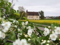  (Bildnachweis: Mit freundlicher Genehmigung der Stadt Neuenburg am Rhein)