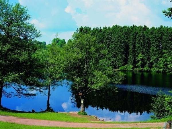 Schlchtsee Bildnachweis: Mit freundlicher Genehmigung des Brgermeisteramts Grafenhausen - Foto: Rothauser Land