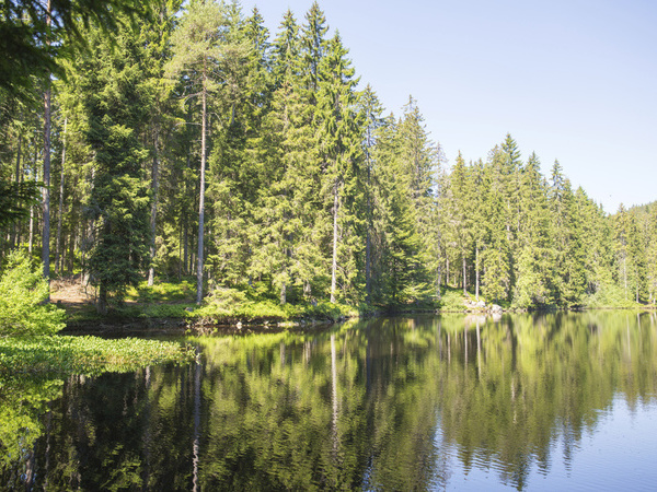 Blick auf Mathisleweiher Copyright: (Hochschwarzwald Tourismus GmbH)