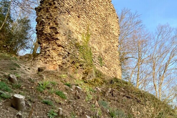 Burgruine Wiesneck Copyright: (Mit freundlicher Genehmigung von Sabine Paschold) Burgruine Wiesneck Copyright: (Mit freundlicher Genehmigung von Sabine Paschold)