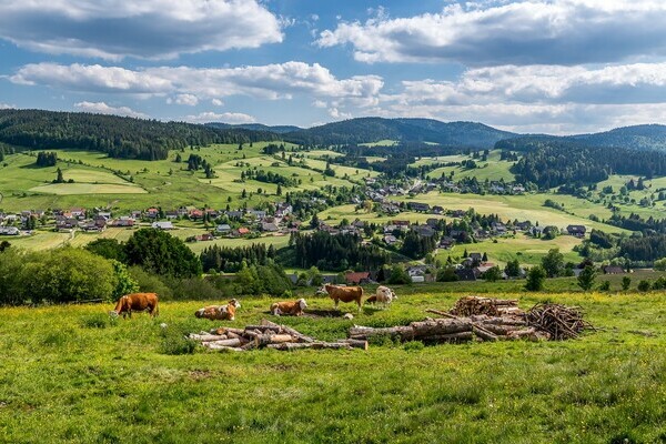 Copyright: (Mit freundlicher Genehmigung Tourist Information Bernau) Copyright: (Mit freundlicher Genehmigung Tourist Information Bernau)