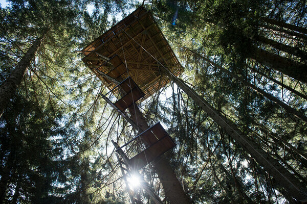 Copyright: (Mit freundlicher Genehmigung der Hochschwarzwald Tourismus GmbH) Copyright: (Mit freundlicher Genehmigung der Hochschwarzwald Tourismus GmbH)