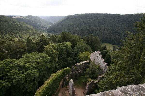  Copyright: (Mit freundlicher Genehmigung der Teinachtal Touristik)