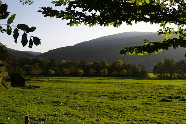 Copyright: (4ws-netdesign) Copyright: (4ws-netdesign)