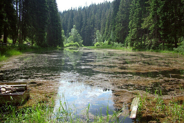 Copyright: Mit freundlicher Genehmigung der Gemeinde Seewald Copyright: Mit freundlicher Genehmigung der Gemeinde Seewald