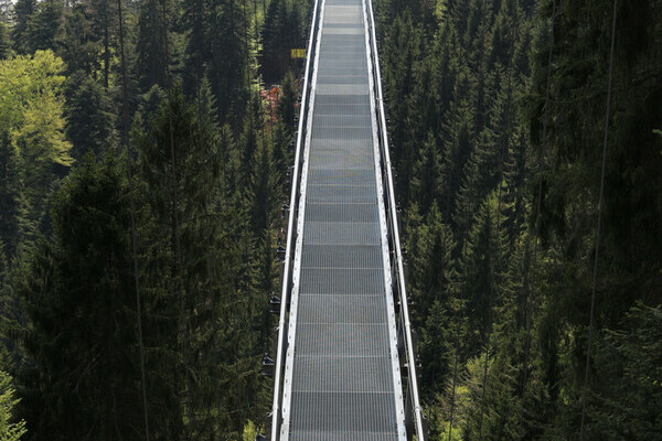 Wildline Hngeseilbrcke Bildnachweis: Hotel Rothfuss Bad Wildbad