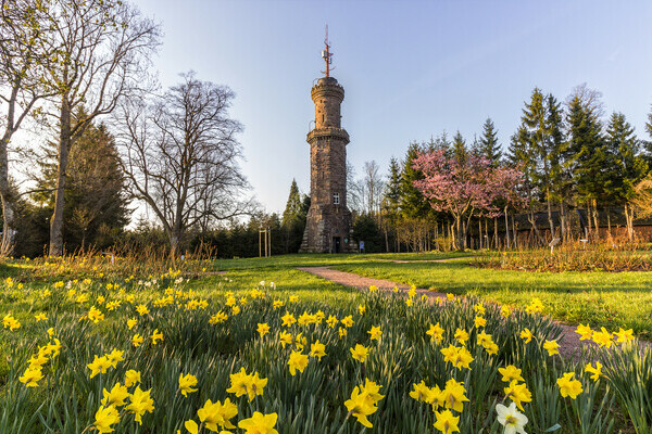 Friedrichsturm Copyright: ( Freudenstadt Tourismus)