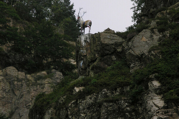 Hirschsprung Copyright: (Mit freundlicher Genehmigung der Gemeinde Hinterzarten)