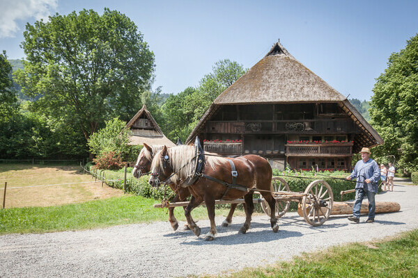 Schwarzwlder Freilichtmuseum Copyright: Mit freundlicher Genehmigung des Schwarzwlder Freilichtmuseum Vogtsbauernhof, Gutach