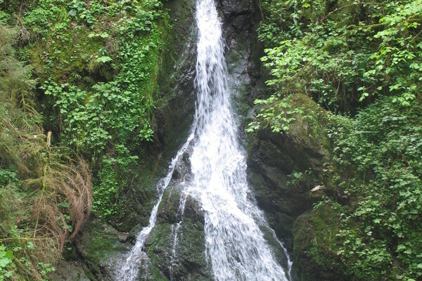 Lotenbachklamm Bildnachweis: Touristinfo Bonndorf